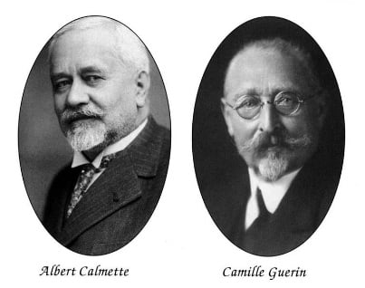 Albert Calmette (French: Leon Charles Albert Calmette) and Jean-Marie Camille Guerin (French: Jean-Marie Camille Guerin)