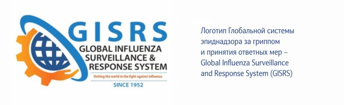 Global Influenza Surveillance and Response System.jpg