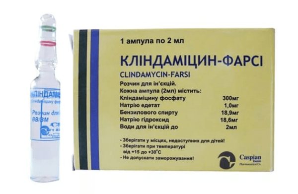 Clindamycin - solution for injection