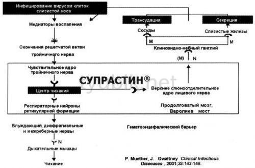 Mechanism of action of Suprastin