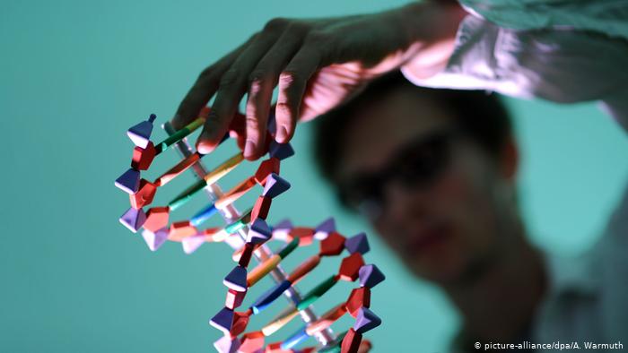 Human DNA model