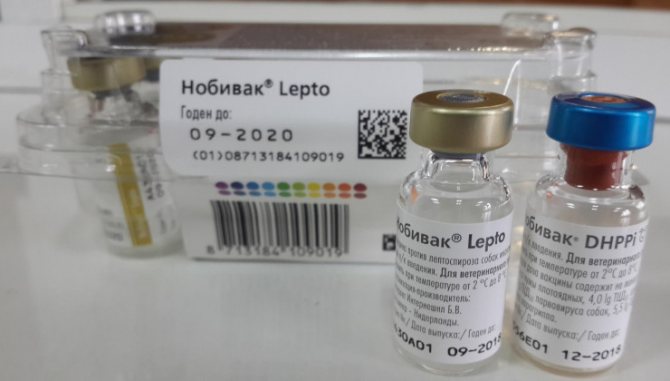 Nobivac vaccination scheme