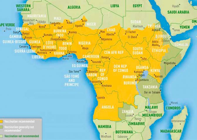 Yellow fever vaccination - all about vaccinations in Tanzania and Zanzibar - photo