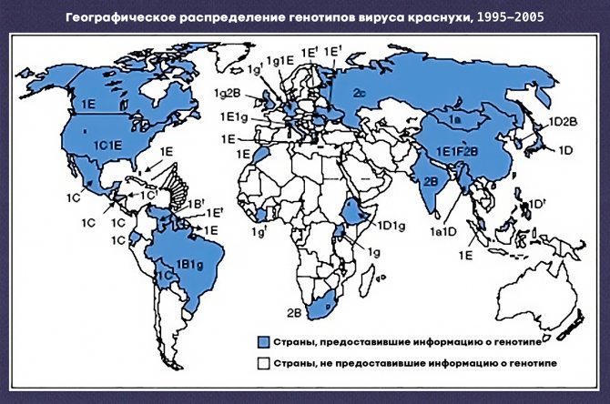 Распределение генотипов вируса краснухи по странам в 1995–2005 годы