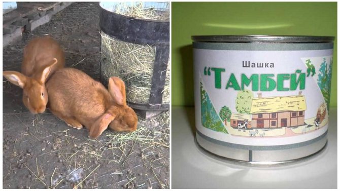 Шашка Тамбей для защиты кроликов от комаров