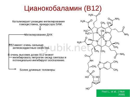 Properties of Cyanocobalamin