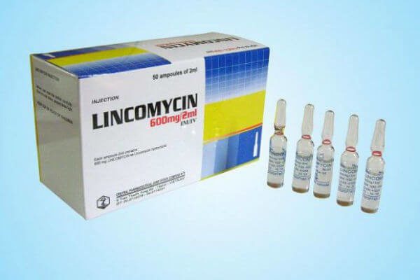 Lincomycin injections
