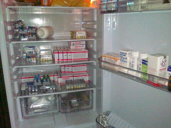 Vaccines in the refrigerator