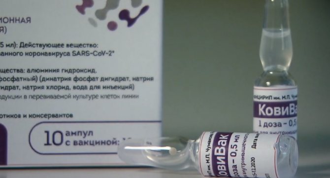 “Abstinence is wrong”: which vaccine should St. Petersburg residents be vaccinated with?